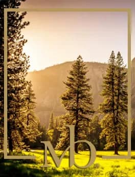 Portrait of Allan Block