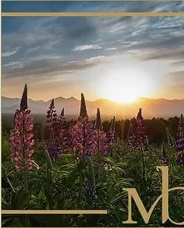 Portrait of Arthur "Art" Crooks